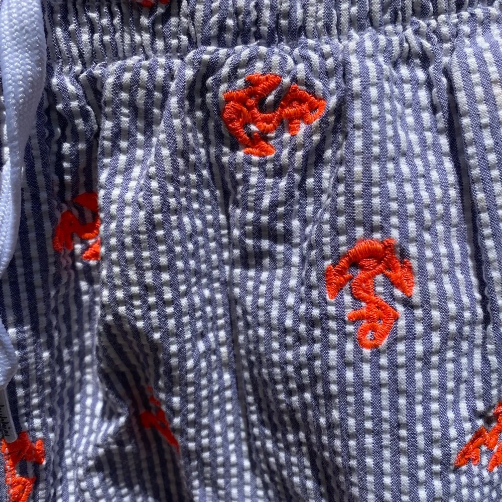Chubbies Blue Seersucker 5.5” Inseam Swim Trunks with Orange Anchors, Size Small